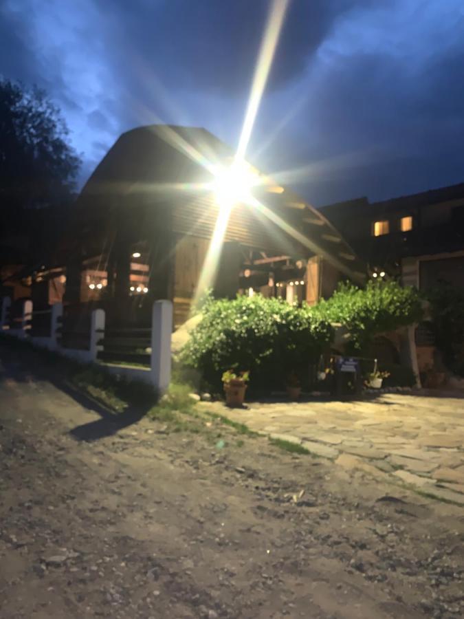 ホテル No Comment Rustic Curtea de Argeş エクステリア 写真